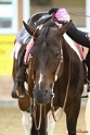 31-APHA OAWP_024